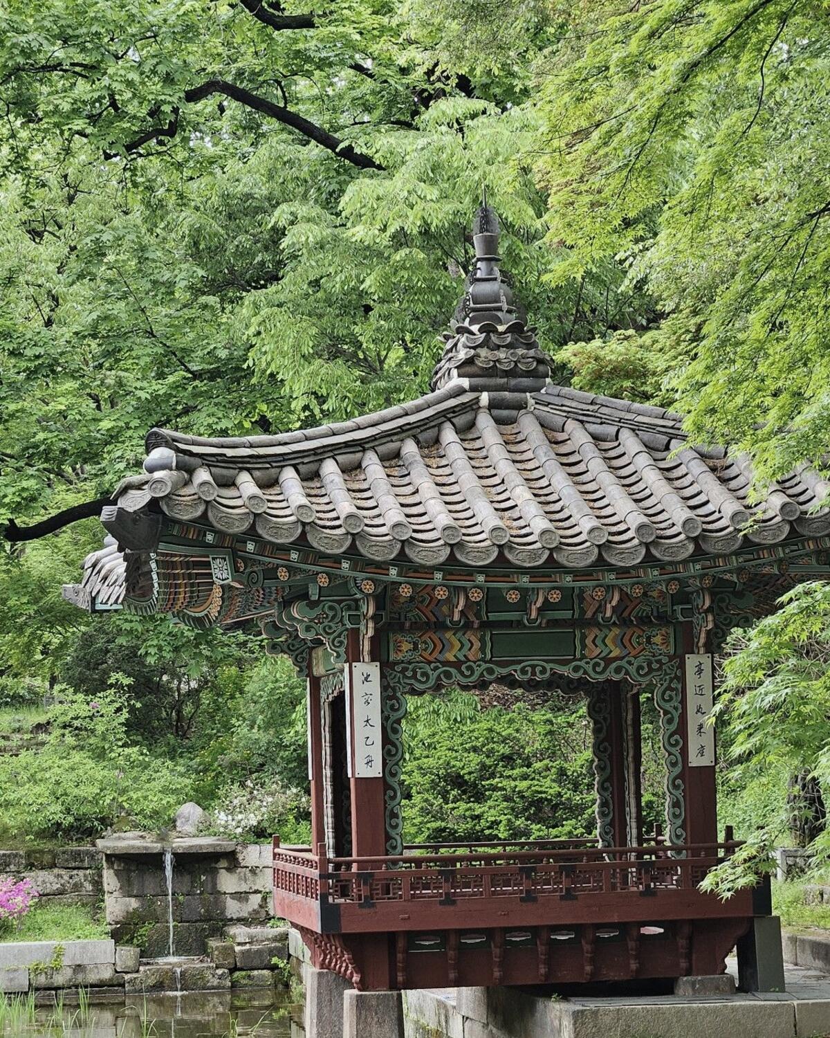 짙은 초록에 둘러싸인 애련정과 그 아래 물